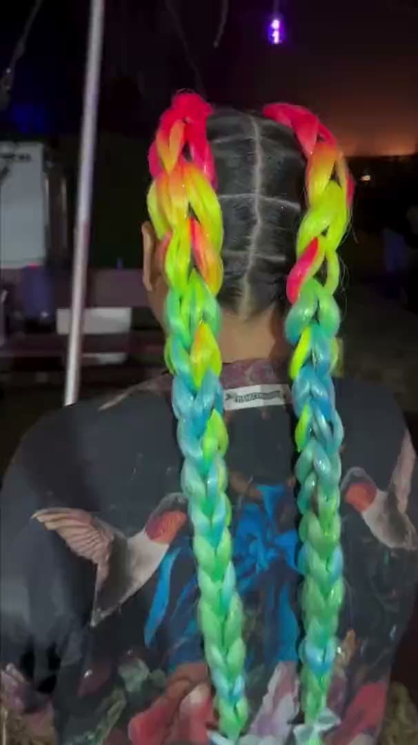 Two thick braids in rainbow colour running the length of the back