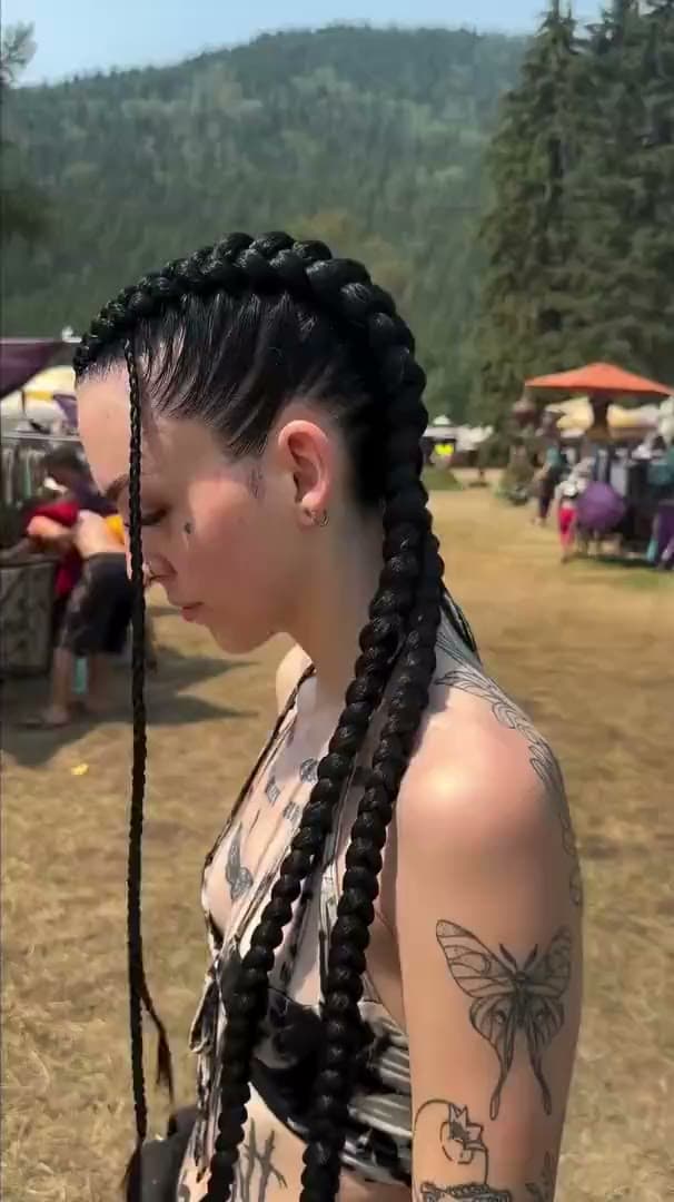 Two sleek black braids braided close to the scalp, seen from the side